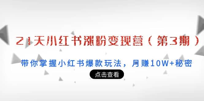 21天小红书涨粉变现营（第3期）：带你掌握小红书爆款玩法，月赚10W+秘密-韭菜网