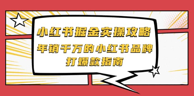 小红书掘金实操攻略，年销千万的小红书品牌打爆款指南-韭菜网