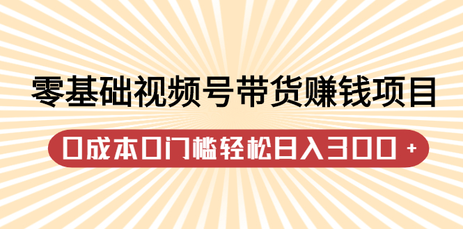 零基础视频号带货赚钱项目，0成本0门槛轻松日入300+【视频教程】-韭菜网