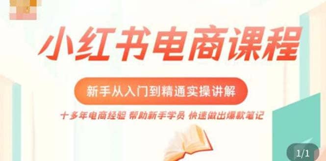 小红书电商新手入门到精通实操课，从入门到精通做爆款笔记，开店运营-韭菜网