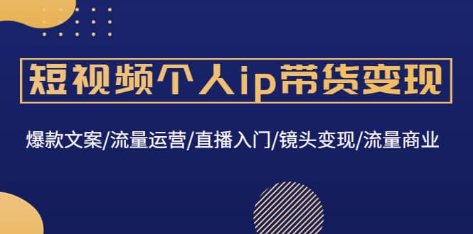 短视频个人ip带货变现：爆款文案/流量运营/直播入门/镜头变现/流量商业-韭菜网