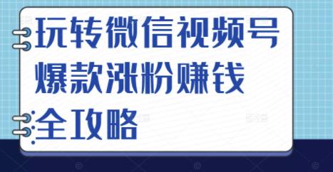 玩转微信视频号爆款涨粉赚钱全攻略，让你快速抓住流量风口，收获红利财富-韭菜网