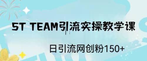 ST TEAM引流实操课，日引流网创粉100+-韭菜网