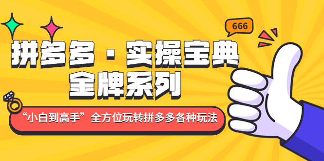 拼多多·实操宝典：金牌系列“小白到高手”带你全方位玩转拼多多各种玩法-韭菜网