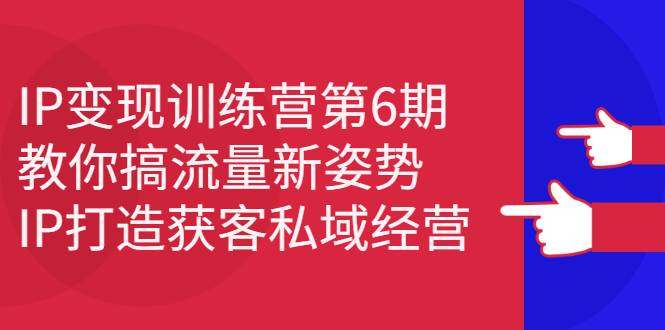 IP变现训练营第6期：教你搞流量新姿势，IP打造获客私域经营-韭菜网