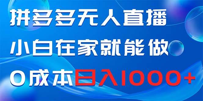 拼多多无人直播，小白在家就能做，0成本日入1000+-韭菜网