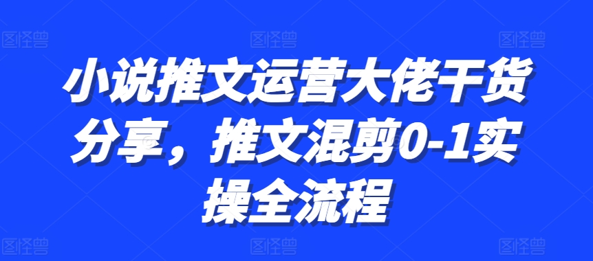 小说推文运营大佬干货分享，推文混剪0-1实操全流程-韭菜网