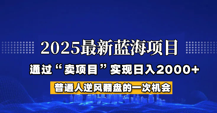 2025年蓝海项目，如何通过“网创项目”日入2000+-韭菜网