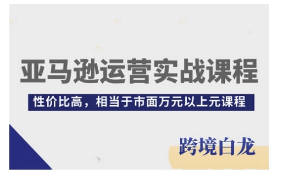 亚马逊运营实战课程，亚马逊从入门到精通，性价比高，相当于市面万元以上元课程-韭菜网