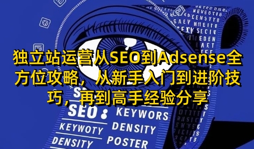 独立站运营从SEO到Adsense全方位攻略，从新手入门到进阶技巧，再到高手经验分享-韭菜网