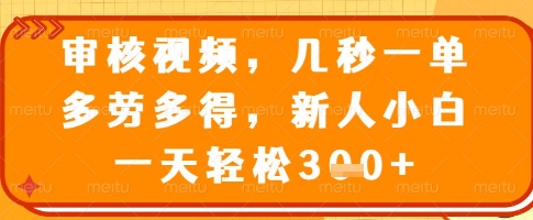 审核视频，几秒一单，多劳多得，新人小白一天轻松3张【揭秘】-韭菜网