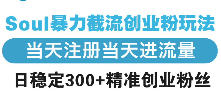 Soul暴力截流创业粉玩法，当天注册当天进流量，日稳定300+精准创业粉丝-韭菜网