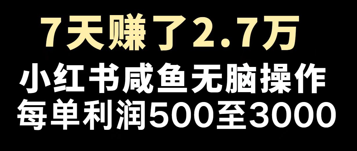 最赚钱项目之一，2025爆火，逆风翻盘！-韭菜网