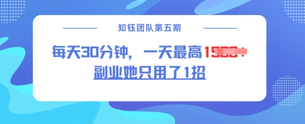 副业她只用了1招，每天30分钟，无脑二创，一天最高1.5k-韭菜网