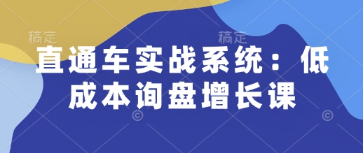 直通车实战系统：低成本询盘增长课，让个人通过技能实现升职加薪，让企业低成本获客，订单源源不断-韭菜网