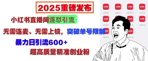 2025重磅发布：小红书直播间连怼引流，无需连麦、无需上镜，突破单号限制，暴力日引流600+-韭菜网