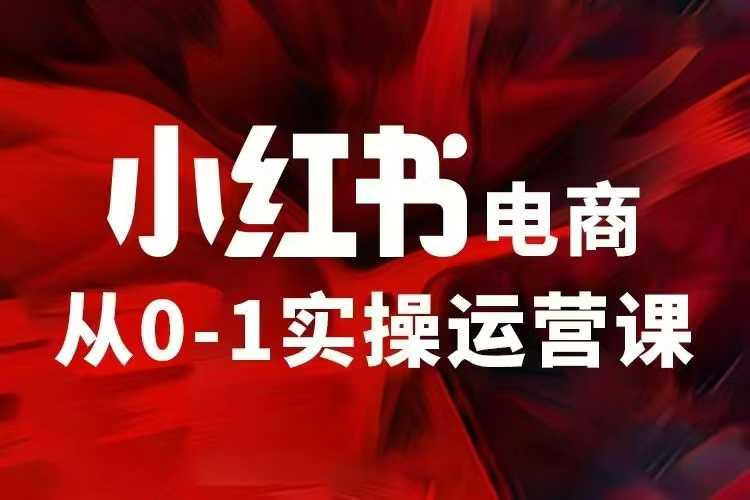 小红书电商运营，97节小红书vip内部课，带你实现小红书赚钱-韭菜网