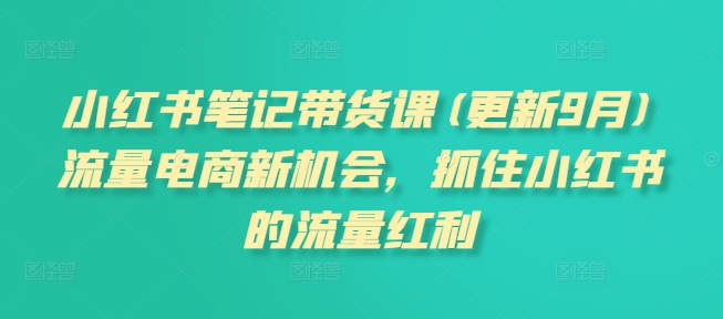 小红书笔记带货课(更新25年2月)流量电商新机会，抓住小红书的流量红利-韭菜网