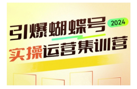 引爆蝴蝶号实操运营，助力你深度掌握蝴蝶号运营，实现高效实操，开启流量变现之路-韭菜网