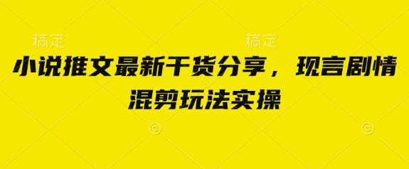 小说推文最新干货分享，现言剧情混剪玩法实操-韭菜网