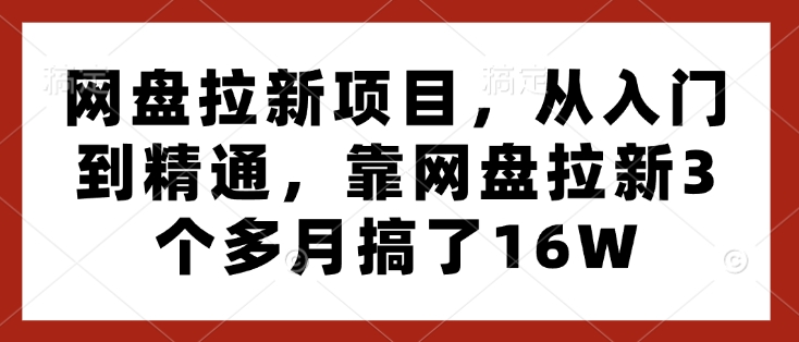 网盘拉新项目，从入门到精通，靠网盘拉新3个多月搞了16W-韭菜网