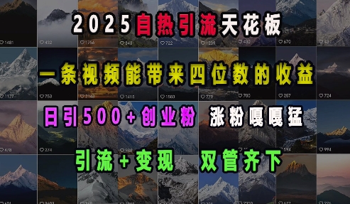 2025自热引流天花板，一条视频能带来四位数的收益，引流+变现双管齐下，日引500+创业粉，涨粉嘎嘎猛-韭菜网