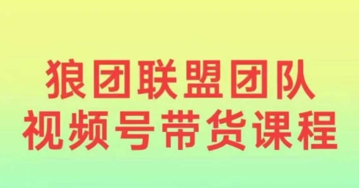 狼团联盟2024视频号带货，0基础小白快速入局视频号-韭菜网