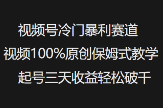 视频号冷门暴利赛道视频100%原创保姆式教学起号三天收益轻松破千-韭菜网