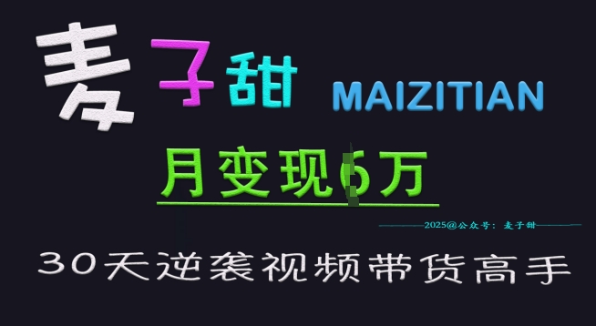 麦子甜30天逆袭视频带货高手，单月变现6W加特训营-韭菜网