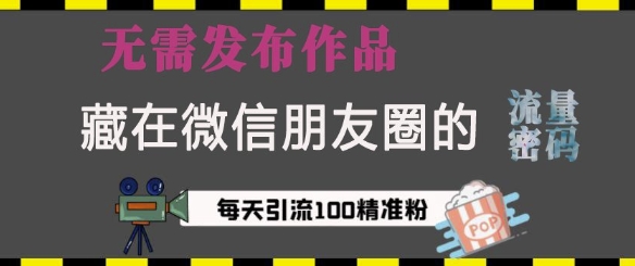 藏在微信朋友圈的流量密码，无需发布作品，单日引流100+精准创业粉【揭秘】-韭菜网