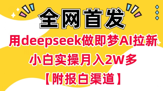 用deepseek做即梦Ai拉新 小白实操月入过W+【附报白渠道】-韭菜网