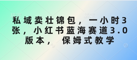 私域卖壮锦包，一小时3张，小红书蓝海赛道3.0版本， 保姆式教学-韭菜网