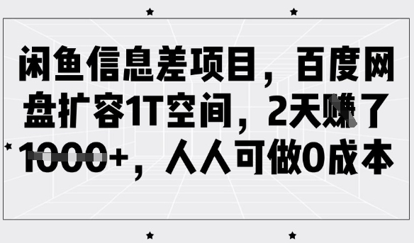 闲鱼信息差项目，百度网盘扩容1T空间，2天收益1k+，人人可做0成本-韭菜网