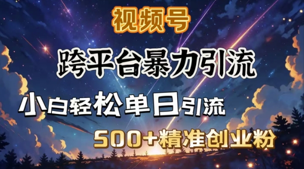 跨平台暴力引流，私域完美闭环，日引500+精准创业粉-韭菜网