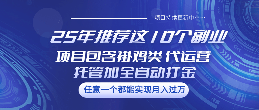 25年推荐这10个副业 项目包含褂鸡类、代运营托管类、全自动打金类-韭菜网