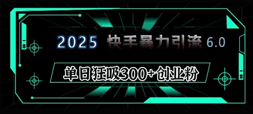 2025年快手6.0保姆级教程震撼来袭，单日狂吸300+精准创业粉-韭菜网