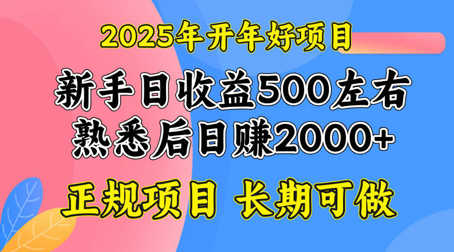 2025开年好项目，单号日收益2000左右-韭菜网