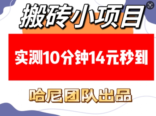 搬砖小项目，实测10分钟14元秒到，每天稳定几张(赠送必看稳定)-韭菜网