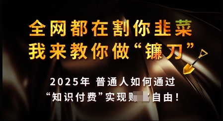 知识付费如何做到月入过W+，2025我来教你做“镰刀”【揭秘】-韭菜网