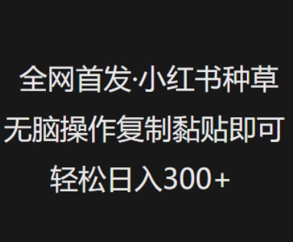 全网首发，小红书种草无脑操作，复制黏贴即可，轻松日入3张-韭菜网