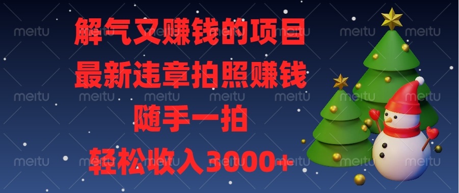 解气又赚钱的项目，最新违章拍照赚钱，随手一拍，轻松收入3000+-韭菜网