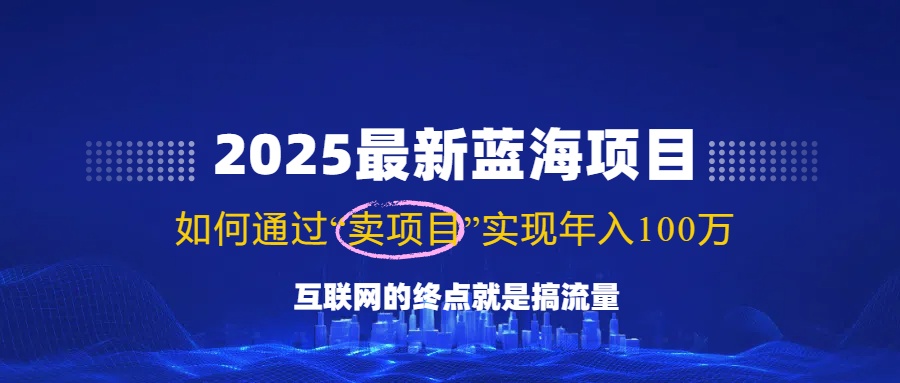 2025最新蓝海项目，零门槛轻松复制，月入10万+，新手也能操作！-韭菜网