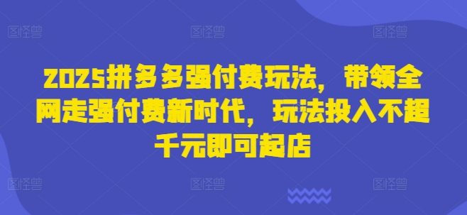 2025拼多多强付费玩法，带领全网走强付费新时代，玩法投入不超千元即可起店-韭菜网