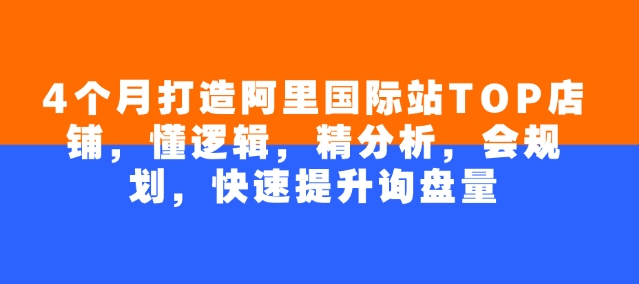 4个月打造阿里国际站TOP店铺，懂逻辑，精分析，会规划，快速提升询盘量-韭菜网