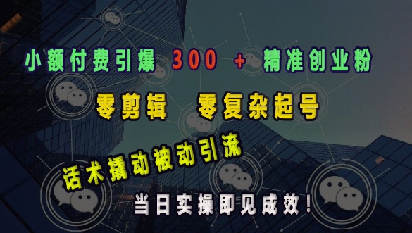 小额付费引爆 300 + 精准创业粉，零剪辑、零复杂起号，话术撬动被动引流，当日实操即见成效-韭菜网