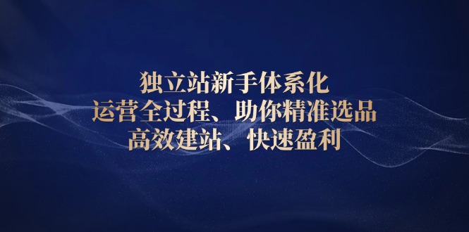 独立站新手体系化 运营全过程，助你精准选品、高效建站、快速盈利-韭菜网