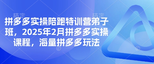 拼多多实操陪跑特训营弟子班，2025年2月拼多多实操课程，海量拼多多玩法-韭菜网