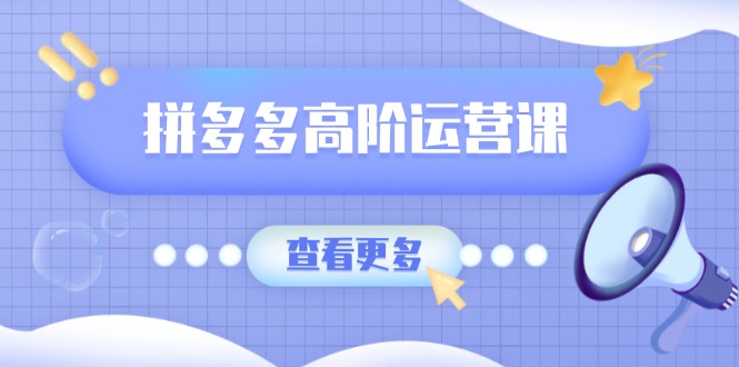 拼多多高阶运营课：极致群爆款玩法，轻付费无尽复制，打造单品爆款之路-韭菜网