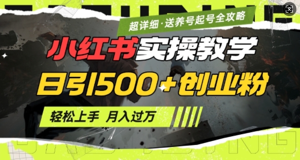 2月小红书最新日引500+创业粉实操教学【超详细】小白轻松上手，月入1W+，附小红书养号起号SOP-韭菜网