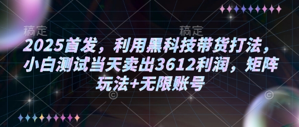 2025首发，利用黑科技带货打法，小白测试当天卖出3612利润，矩阵玩法+无限账号【揭秘】-韭菜网